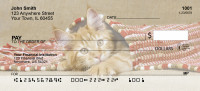 Cute Kittens Top Tear Personal Checks | ANI-06