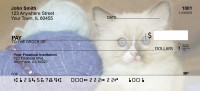 Cute Kittens Top Tear Personal Checks | ANI-06