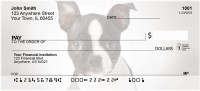 Boston Terrier Puppies Personal Checks | DOG-03