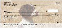 English Spaniel Puppies Personal Checks | DOG-100