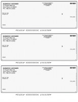 Grey Safety 3 Per Page Laser Checks | L3C-ES
