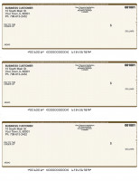 Tan Safety 3 Per Page Laser Checks | L3C-TS