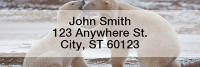 Bears in the Wild Rectangle Address Labels | LRANI-10