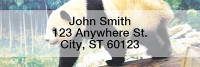 Panda Bears Rectangle Address Labels | LRANI-11