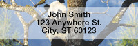 Panda Bears Rectangle Address Labels | LRANI-11