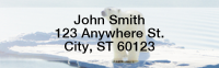 Polar Bears Rectangle Address Labels | LRANI-13