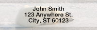 Polar Bears Rectangle Address Labels | LRANI-13
