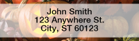 Jack-O-Lanterns Rectangle Address Labels | LRFUN-72