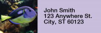 Tropical Fish Rectangle Address Labels | LRRANI-01