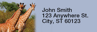 Safari Wildlife Rectangle Address Labels | LRRANI-03