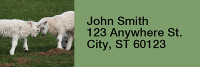 Barnyard Rectangle Address Labels | LRRANI-04
