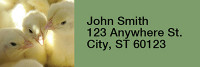 Barnyard Rectangle Address Labels | LRRANI-04