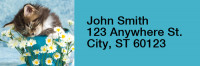 Cute Kittens Rectangle Address Labels | LRRANI-06