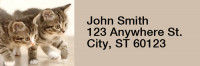 Cute Kittens Rectangle Address Labels | LRRANI-06