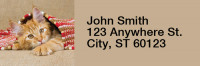 Cute Kittens Rectangle Address Labels | LRRANI-06