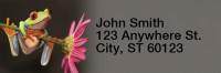 Frogs Rectangle Address Labels | LRRANI-09