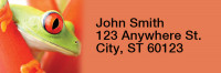 Frogs Rectangle Address Labels | LRRANI-09