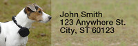 Jack Russell Terriers Rectangle Address Labels | LRRDOG-08