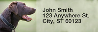 Chocolate Labradors Rectangle Address Labels | LRRDOG-09