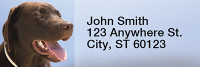 Chocolate Labradors Rectangle Address Labels | LRRDOG-09