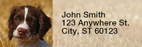 English Spaniels Rectangle Address Labels | LRRDOG-100