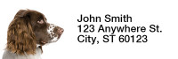 More English Spaniels Rectangle Address Labels | LRRDOG-101