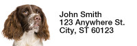 More English Spaniels Rectangle Address Labels | LRRDOG-101