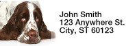 More English Spaniels Rectangle Address Labels | LRRDOG-101