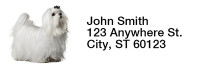 Maltese Rectangle Address Labels | LRRDOG-103