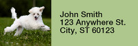 Mini Poodle Rectangle Address Labels | LRRDOG-104