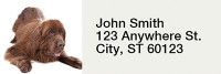 Newfoundland Rectangle Address Labels | LRRDOG-105