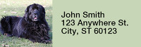 Newfoundland Rectangle Address Labels | LRRDOG-105