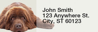 Newfoundland Rectangle Address Labels | LRRDOG-105