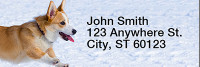 Pembroke Corgi Rectangle Address Labels | LRRDOG-107