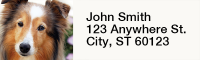 Shetland Sheepdog Rectangle Address Labels | LRRDOG-109