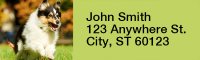 Shetland Sheepdog Rectangle Address Labels | LRRDOG-109