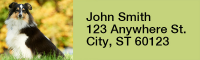 Shetland Sheepdog Rectangle Address Labels | LRRDOG-109