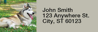Siberian Husky Rectangle Address Labels | LRRDOG-110