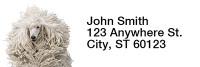Standard Poodle Rectangle Address Labels | LRRDOG-111