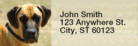 Great Danes Rectangle Address Labels | LRRDOG-17