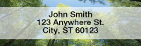 Scenic Scriptures Rectangle Address Labels | LRREL-05