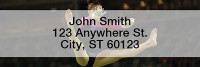 Gymnastic Rectangle Address Labels | LRSPO-09