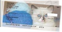 Cute Kittens Side Tear Personal Checks | STANI-06