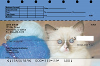 Cute Kittens Top Stub Personal Checks | TSANI-06