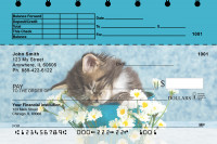 Cute Kittens Top Stub Personal Checks | TSANI-06