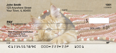Cute Kittens Top Tear Personal Checks | ANI-06