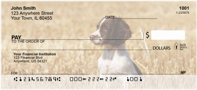 English Spaniel Puppies Personal Checks | DOG-100