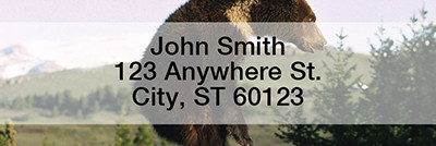 Bears in the Wild Rectangle Address Labels | LRANI-10