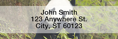 Panda Bears Rectangle Address Labels | LRANI-11