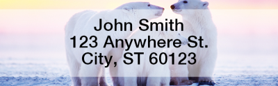Polar Bears Rectangle Address Labels | LRANI-13